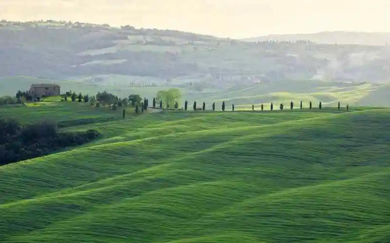 绿色护眼草地屏保高清电脑桌面主题壁纸下载