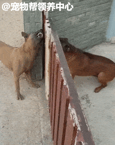 230_291gif 动态图 动图