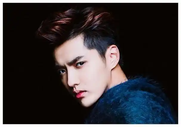 吴亦凡事件从选妃到入狱犯罪与审判众人关注