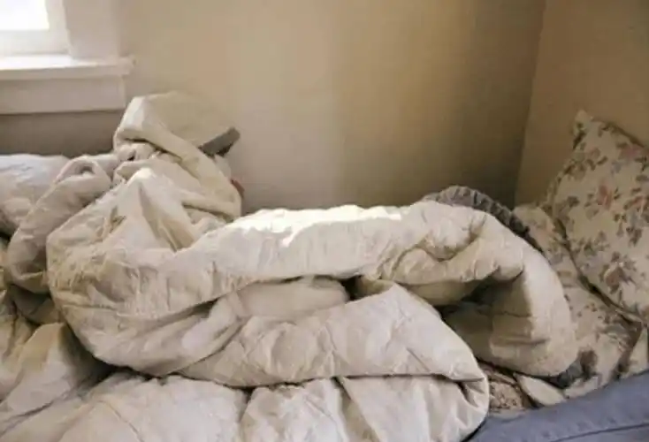 是螨虫被烤焦了?其实是阳光的功劳_毛巾_人们_气味