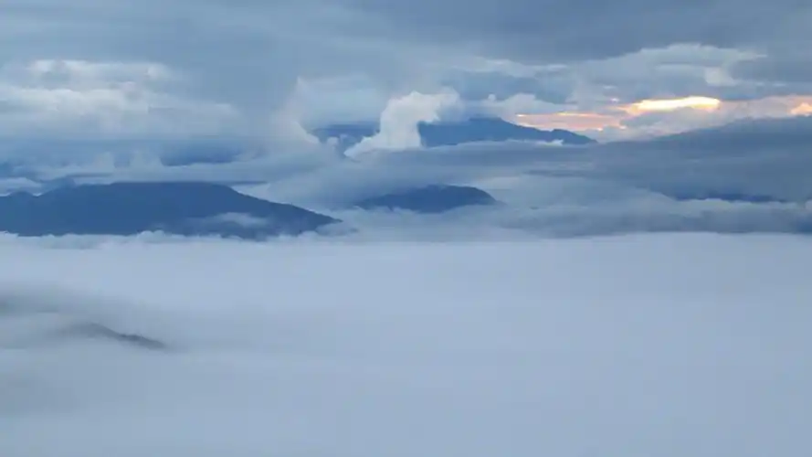 "想去山中品品那深蓝色.