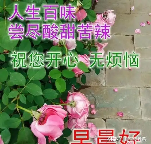 非常漂亮的早晨好鲜花动态图片朋友圈最温馨的早安问候语
