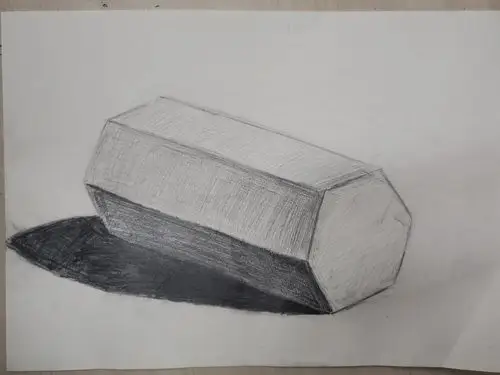 一诺书画〕龙泉东校五年级素描