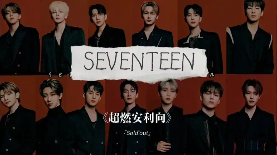 【seventeen】安利向 十三人十三色|超燃神图混剪|色气向 长版