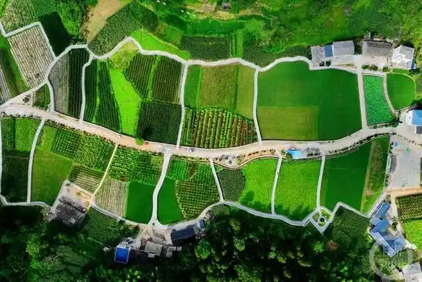 航拍镜头下的重庆市酉阳土家族苗族自治县天馆乡魏市村,一幅美丽乡村