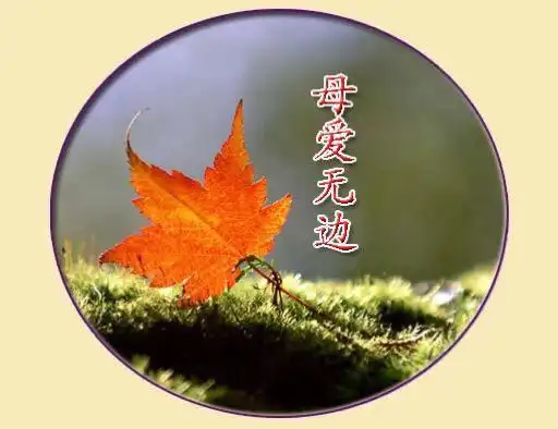 思念天堂的母亲