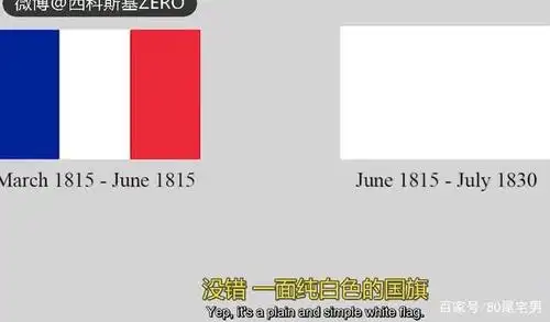 历史上法国真实使用过白旗作为国旗