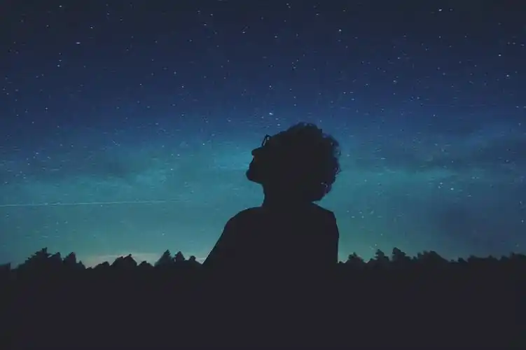 狗血的家庭悲剧冷漠迷茫与孤独的现代人