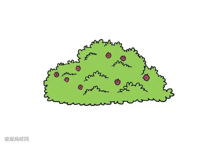 长在灌木丛上的水果简笔画
