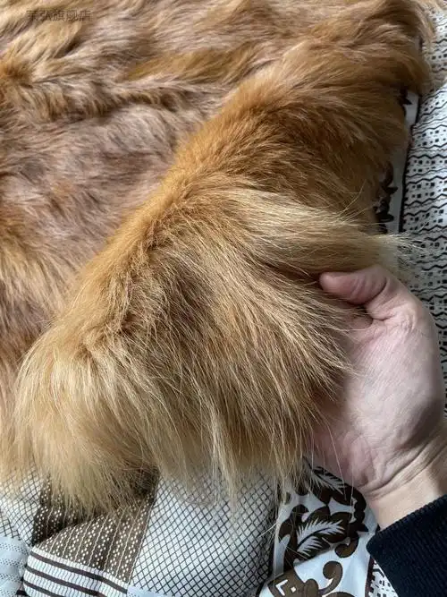 狗皮褥子皮毛一体冬季保暖防寒单双人宿舍床褥皮毛一体黄色长毛宽深浅