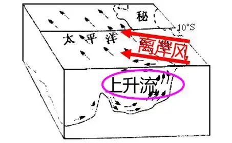 语里为"圣婴"之意,指近赤道东太平洋水域的秘鲁寒流水温反常升高,鱼群