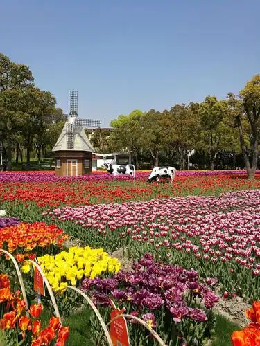 2019大宁公园郁金香花展