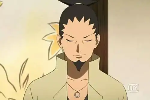 八代目火影六大候选人分析,没有佐助和巳月