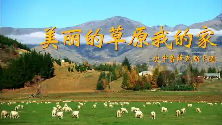 怀旧金曲《美丽的草原我的家》,萨克斯旋律优美,好听回味无穷!