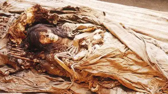 安徽发现散发香气女尸经过专家研究此女可能是乾隆香妃