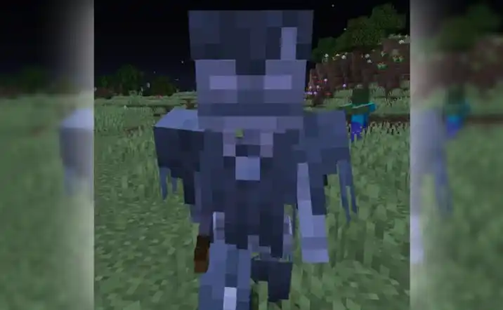 我的世界1165流浪者无生成限制mod