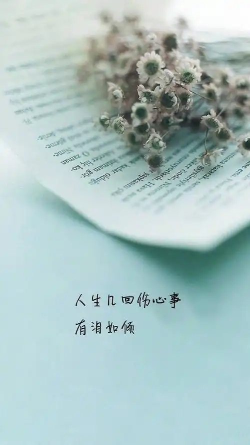 唯美文字控图片高清手机壁纸