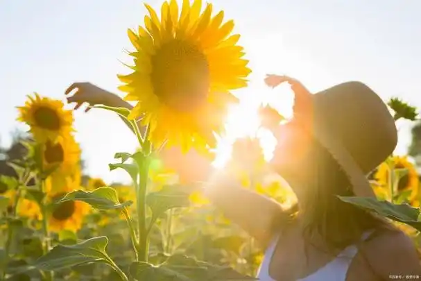 养磁场,这个词汇仿佛带着一丝神秘的面纱