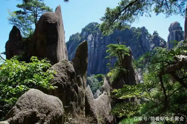 不得不说黄山的怪石真是一绝,怪不得因此而出名.