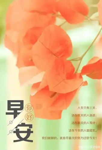 清晨早安奋斗语录正能量图片,正能量的句子早安语录,句句经典!