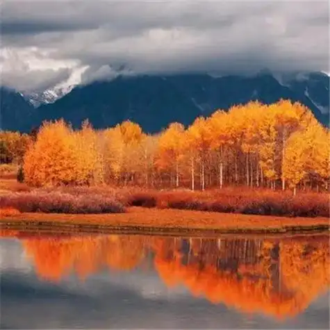 秋天唯美头像图片58张 高清唯美意境适合秋天的风景头像图片_风景头像