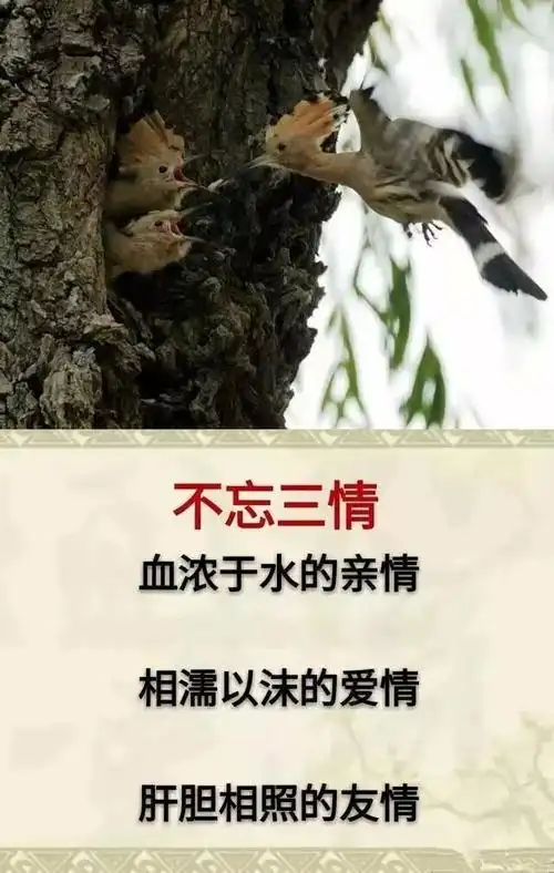 做人,不忘血浓于水的亲情,不忘肝胆相照的友情.