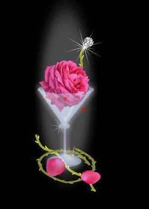 300_420竖版 竖屏gif 动态图 动图