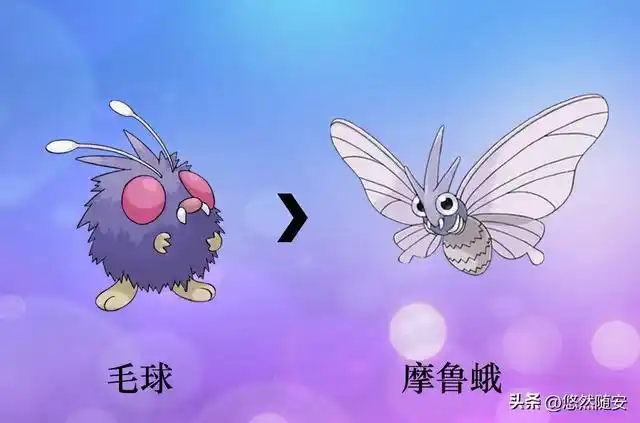 神奇宝贝进化图文(神奇宝贝进化图鉴大全高清) - 百科知识网