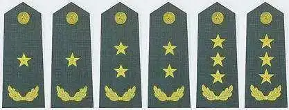 中将是什么级别的干部中将军衔一般授予什么级别的军官