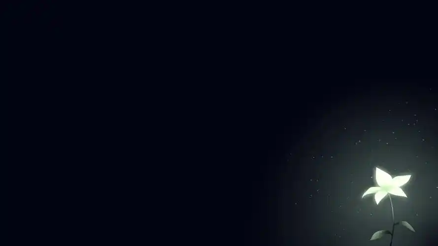 月之泪尼尔机械纪元4k图片,4k高清游戏图片,娟娟壁纸