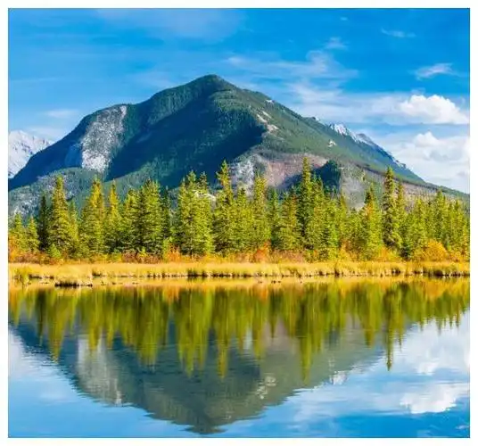 狮子座的人,天生尊贵,天赋聪明,志向远大,富有人格魅力,是天生的领导