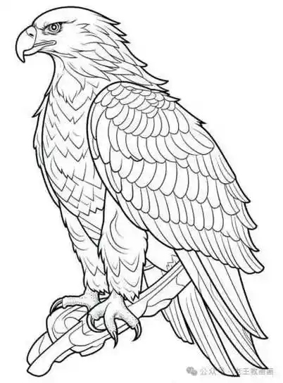 学素描,彩铅,水彩,仅有200个体验名额,手慢无!