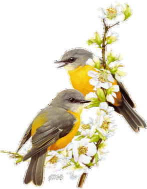 310_400竖版 竖屏gif 动态图 动图