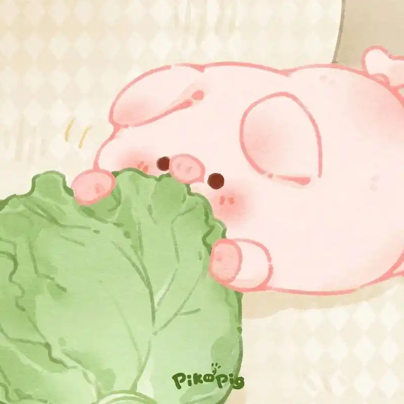 又大又高的白菜被小猪拱啦99 有无文字版本方便大家做情侣头像 记