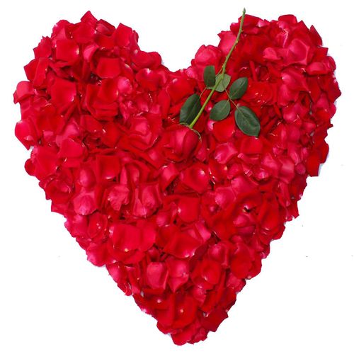 花瓣求婚生日鲜花摆造型花瓣天然玫瑰花瓣泡澡沐浴spa牛奶浴