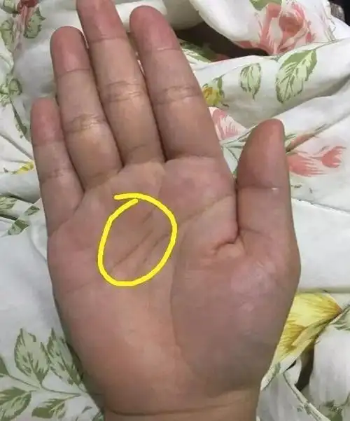 三种命苦的女人手相年轻无夫福老来缺儿福