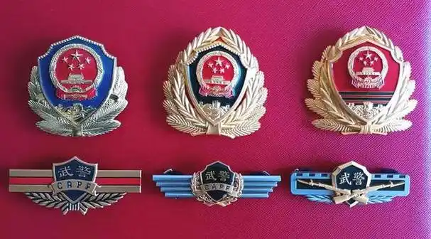 看多了商业化气息,少了军人气概,建议改成武警07式帽徽
