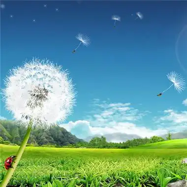 风景头像 > 清新风景头像 标签:清新风景 标签:小清新头像