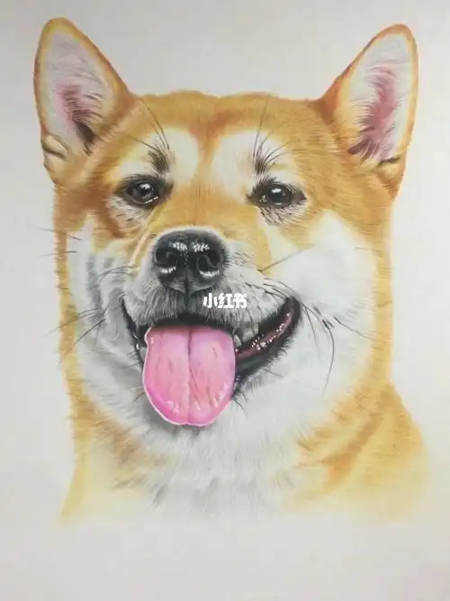 彩铅狗子