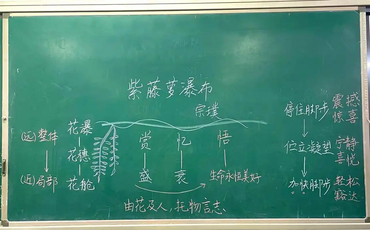 七年级下册《紫藤萝瀑布》板书设计