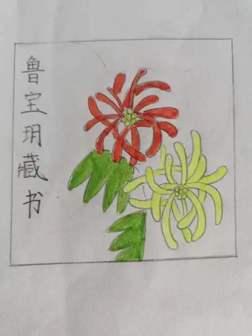 桓仁县西江中学·鲁宝玥·美术《藏书票》_学生才艺_学生频道_本溪市