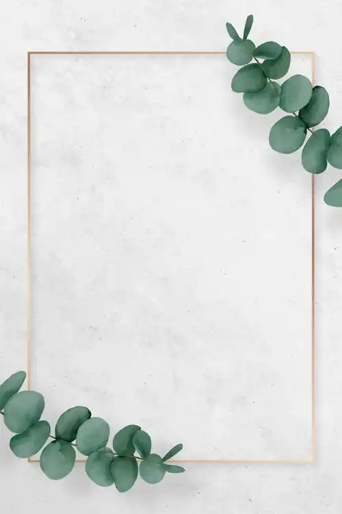 斋月穆巴拉克与清真寺载体