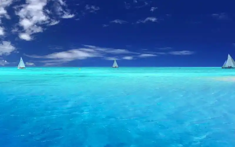 扬帆远航的轮船图片桌面壁纸高清大图预览2560x1600_风景壁纸下载_美