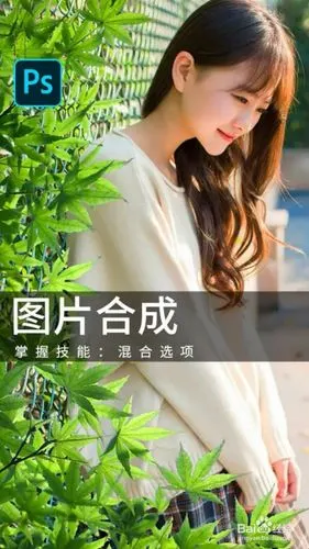 我们需要把两张照片合成一张照片,我们应该如何操作呢?