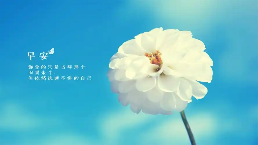 唯美个性早安励志语录,艺术壁纸-回车桌面