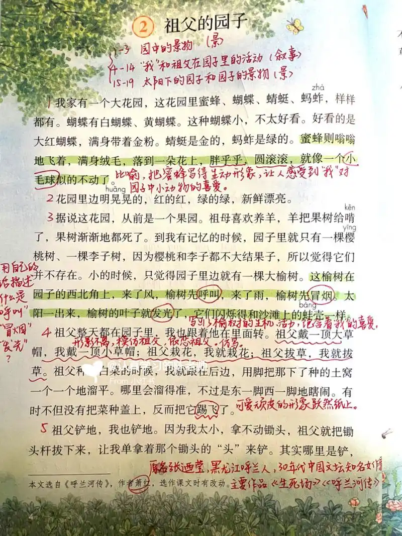 课文笔记|五下第2课《祖父的园子》 快开学啦!