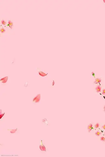 关键词:浪漫樱花节背景下载 春天背景 粉色春天 浪漫背景 psd背景