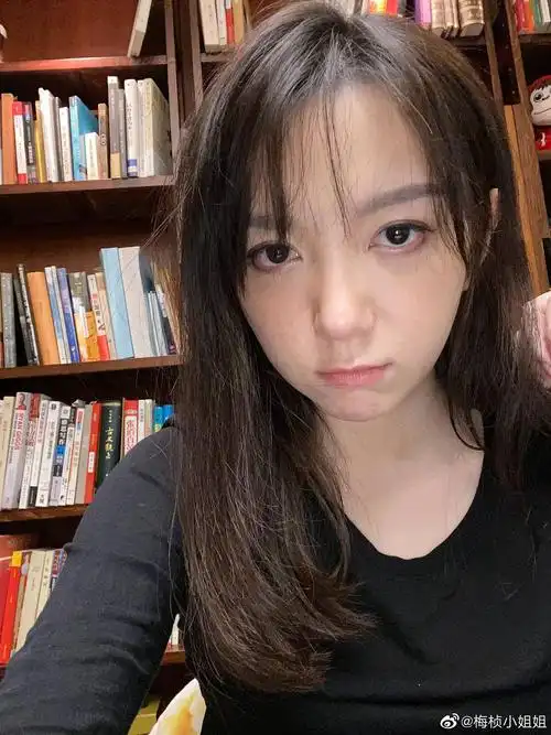 感觉梅桢跟上白石姐妹有点像