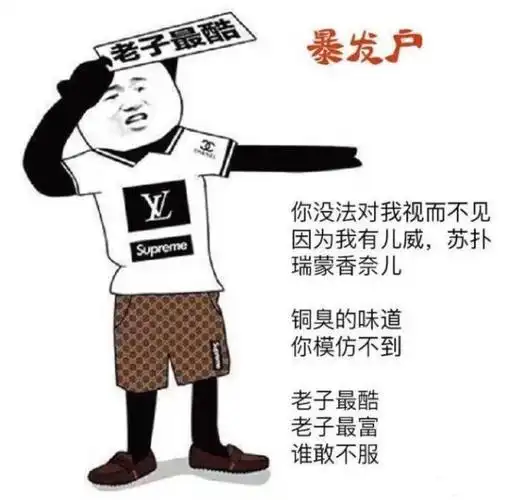 老子最酷暴发户:你没法对我视而不见,因为我有儿威,苏扑瑞蒙香奈儿.