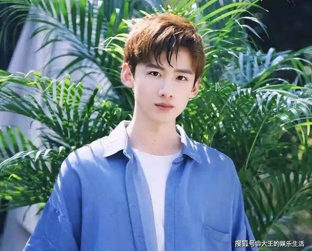 "春山学"风波升级,大粉回踩,业内人倒油,白敬亭真要凉了?